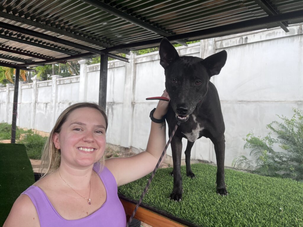 Edwin the rescue dog and a volunteer, thailand is a great place for volunteering