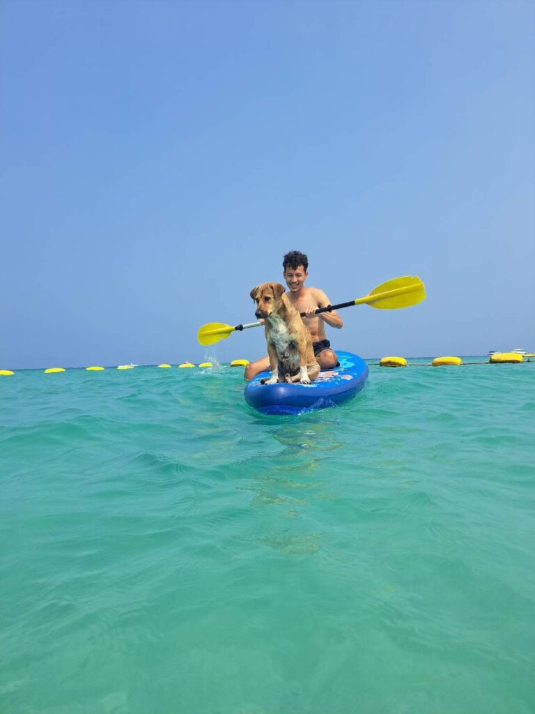 the rescue dog and Lucas on a surfboard in pattaya thailand