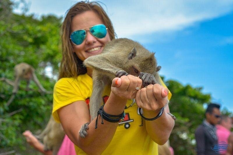 a volunteer on an excursion to monkey island